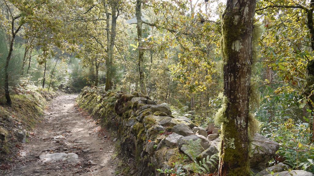 Quinta Das Leiras - Rubiaes Paredes de Coura Eksteriør billede