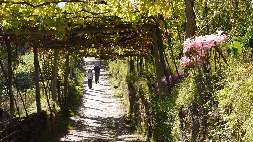 Quinta Das Leiras - Rubiaes Paredes de Coura Eksteriør billede